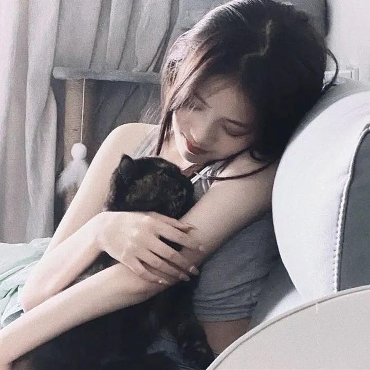 明星季晨